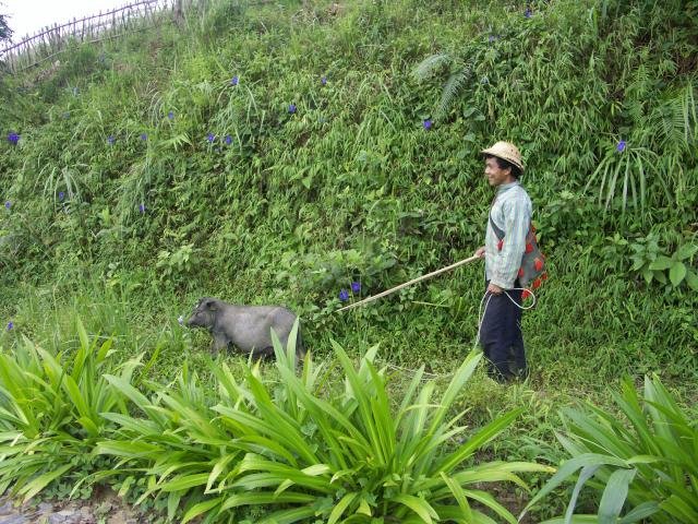 Urlaub in Vietnam 2007